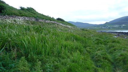 Naklejka premium seaside