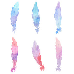 Watercolor hand drawn feathers on white background