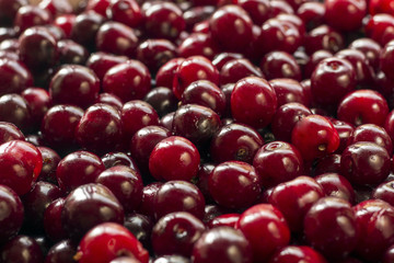 cherry background