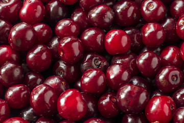 cherry background