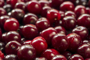 cherry background