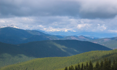 Naklejka premium Spring landscape in the Carpathian mountains