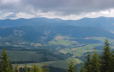 Fototapeta premium Spring landscape in the Carpathian mountains