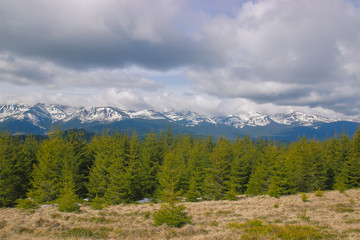 Spring landscape in the Carpathian mountains