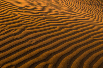 Ripples on sand dune in desert