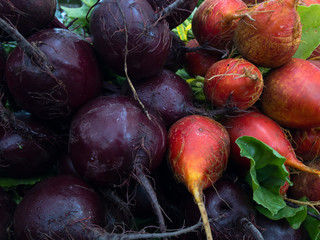 Colorful Beets