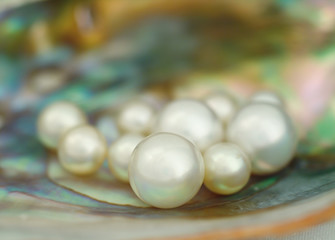 Natural south seas pearls