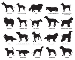 Set of dogs silhouettes-2 - obrazy, fototapety, plakaty
