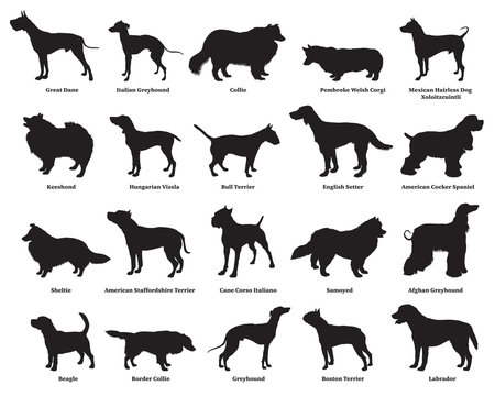 Set of dogs silhouettes-2