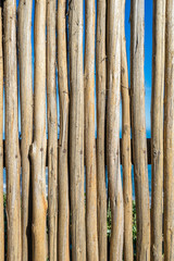 bamboo log trunk wall texture material