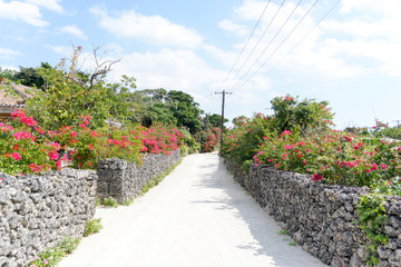 沖縄　八重山諸島　竹富島の集落
