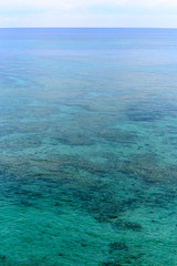 Fototapeta premium 沖縄 八重山諸島 石垣島のサンゴ礁