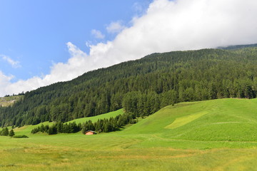 Fototapeta na wymiar Alm bei Nauders in Tirol