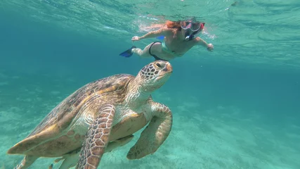 Rolgordijnen Schildpad Het meisje zwemt naast de zeeschildpad. Rode Zee. Marsa Alam
