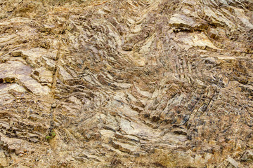 Franciscan Cherts in the Marin Closeup on Franciscan Cherts in the Marin Headlands - geology background or backdrop