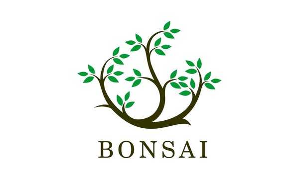 tree bonsai