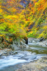 秋の清津峡