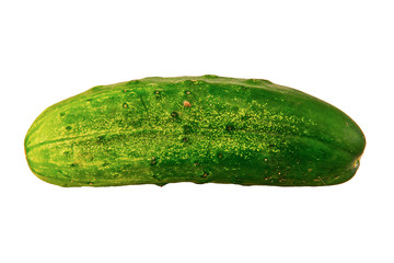 Ripe cucumber on a white background