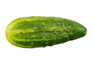 Ripe cucumber on a white background