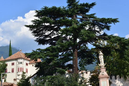 Statue in der piazza della rena
Meran - S&uuml;dtirol