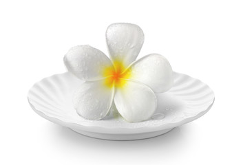 Tropical flowers frangipani in white plate on white background