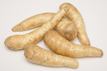 Arracacha - Arracacia xanthorrhiza