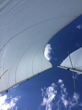 Looking Up at the Sails