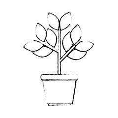 plant in a pot icon