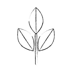 Obraz premium leaves eco symbol