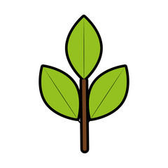 leaves icon image