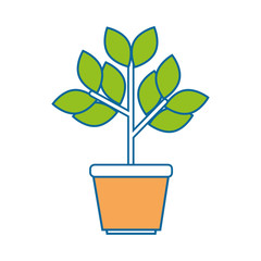 plant in a pot icon