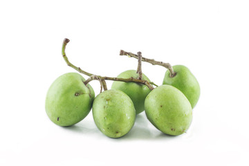 Olive green for cooking and oil