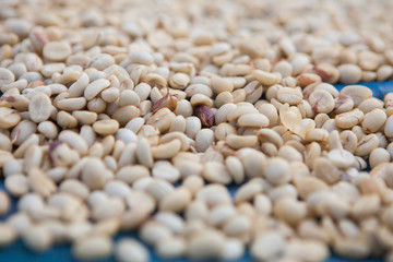 Raw coffee beans