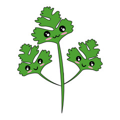 Coriander icon image