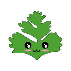 Coriander icon image