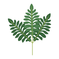 branch leaves plant tree natural botanical image vector illustration