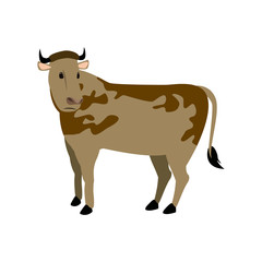 cow animal farm agriculture side view vector illustration
