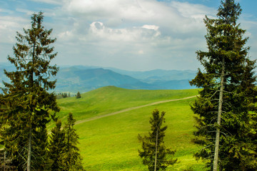 Mountain landscape in summer