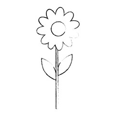 Beautiful sunflower gardening