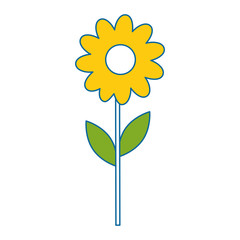 Beautiful sunflower gardening