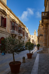 Fototapeta premium Streets of old town at sunny day. Vazes with plant along path. Mdina, Malta.