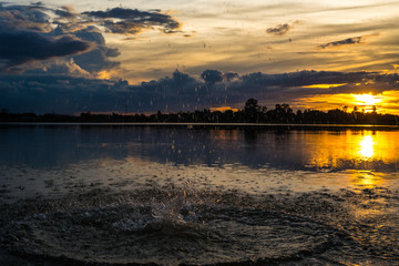 Fototapety na wymiar - Fototapeta24.pl