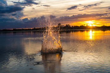 Fototapety na wymiar - Fototapeta24.pl