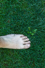 Barefoot on the grass