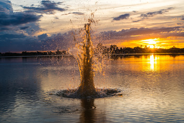 Fototapety na wymiar - Fototapeta24.pl