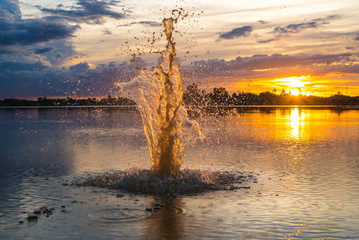 Fototapety na wymiar - Fototapeta24.pl