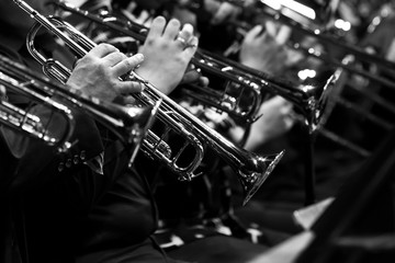 Pipes in the hands of the musicians in the orchestra in black and white © furtseff
