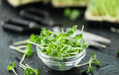 Portion of Cutted Cress