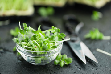 Slate slab with Cutted Cress