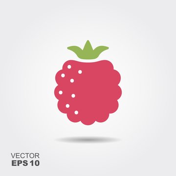 Raspberry flat icon with shadow